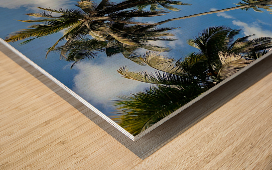 Palm Trees behind the Wall Wood print