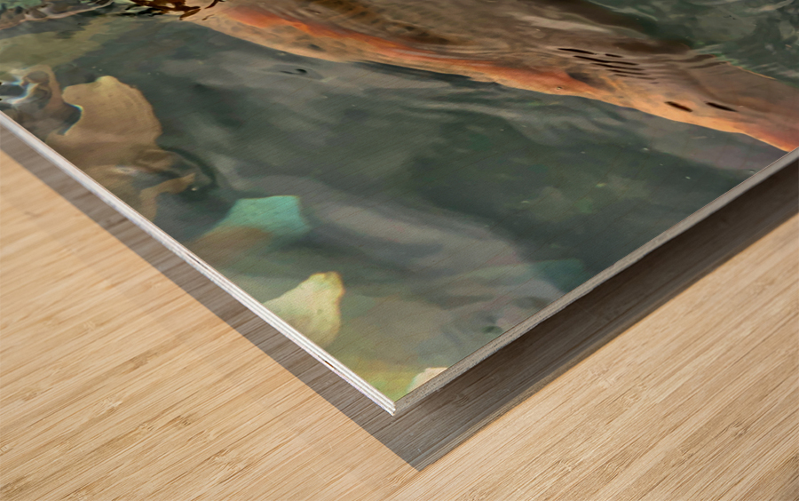 Plenty of Colorful Fish Wood print