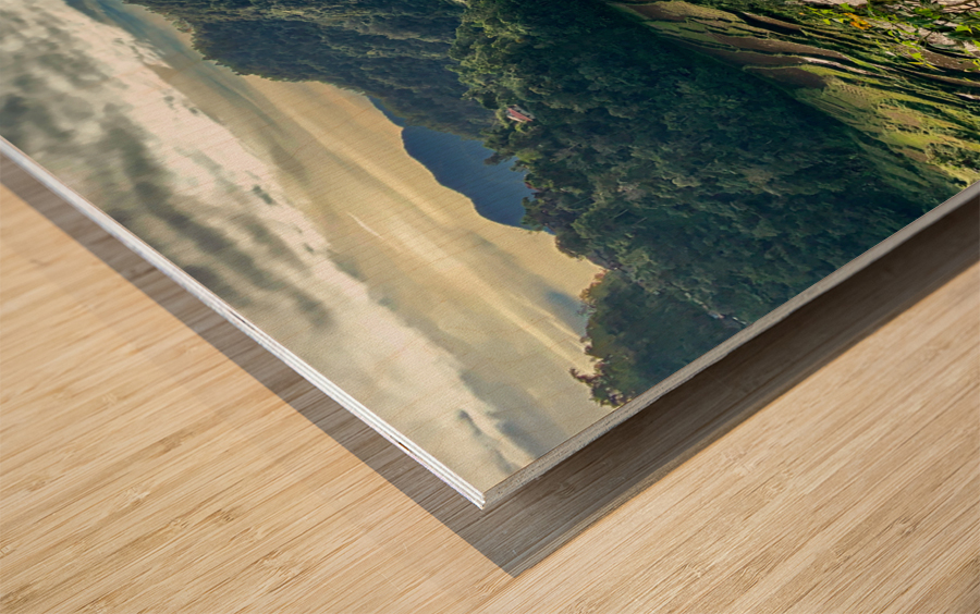 Nice Watery Rice Fields Wood print