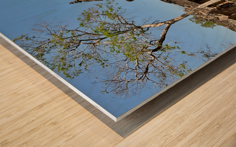 Phanom Rung Historical Park Thailand 3 Wood print