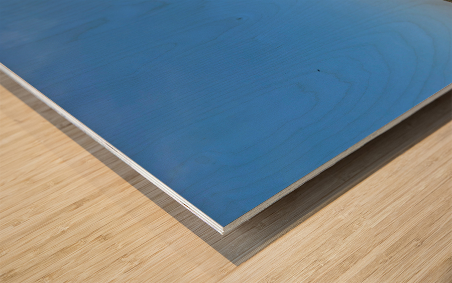 The Tower Lady Impression sur bois