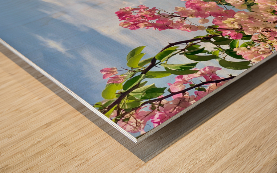 Pretty Pink Flowers Wood print