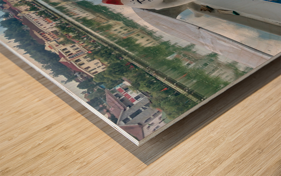 Swan Boat on the Lake Wood print