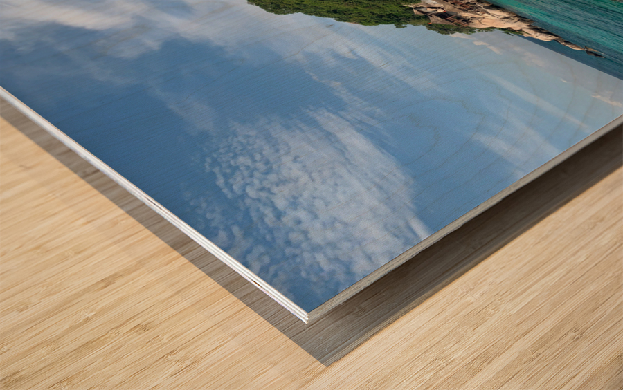 Resorts with a View Wood print