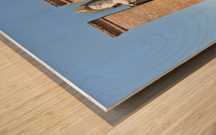 Wat Mahathat Temple Old Sukhothai Thailand 2 Wood print