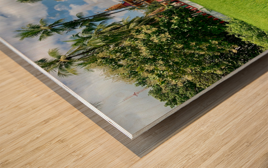 Don Khon Island Temple Laos Wood print