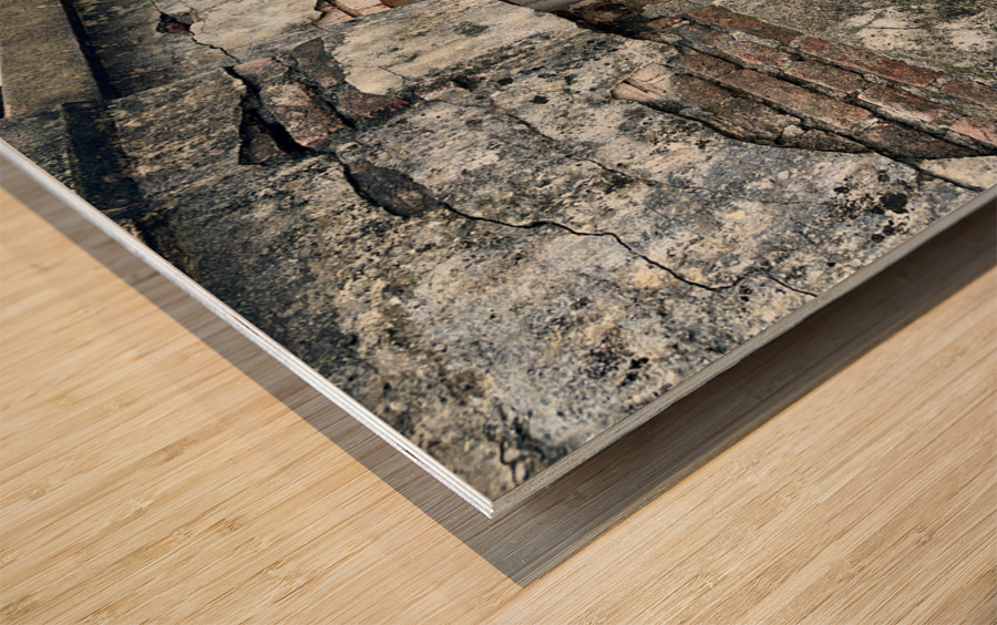 Another Brick in the Wall Wood print