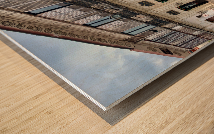 Horse Around Vigan Philippines 2 Wood print