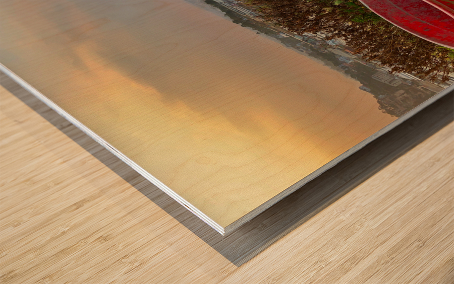 Gardening Equipment for Sunset Wood print