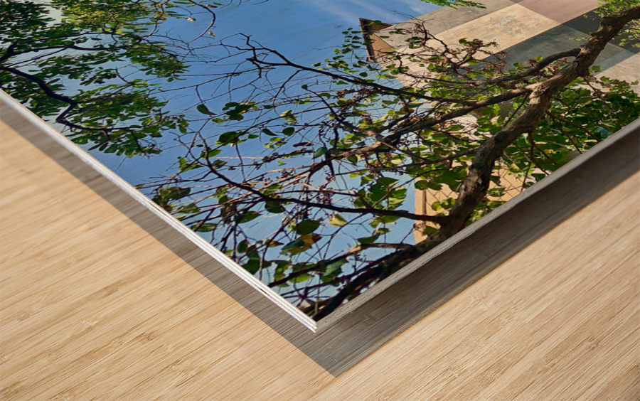 Bungalow with a Nice View Wood print