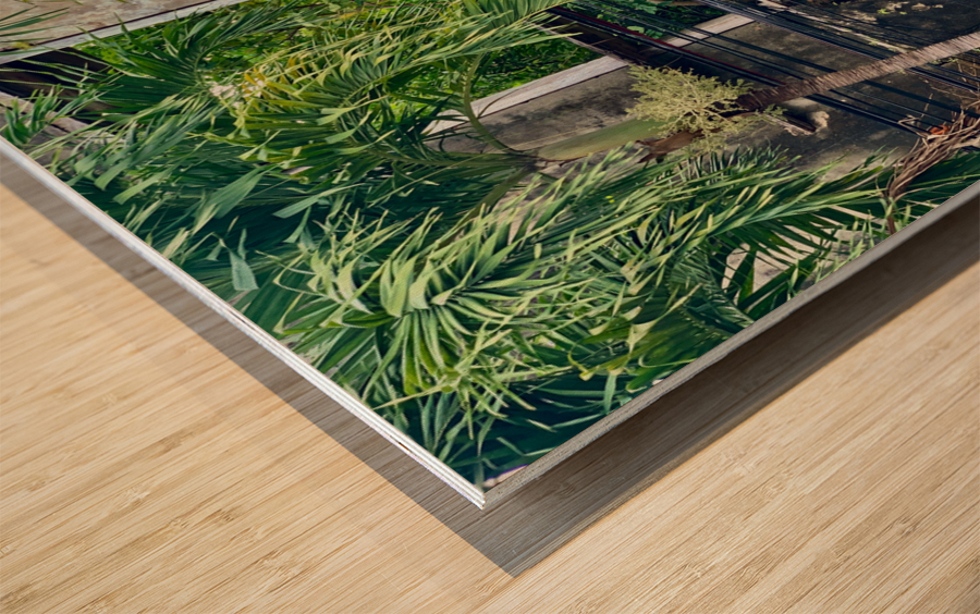 Cracking Down Building Wood print