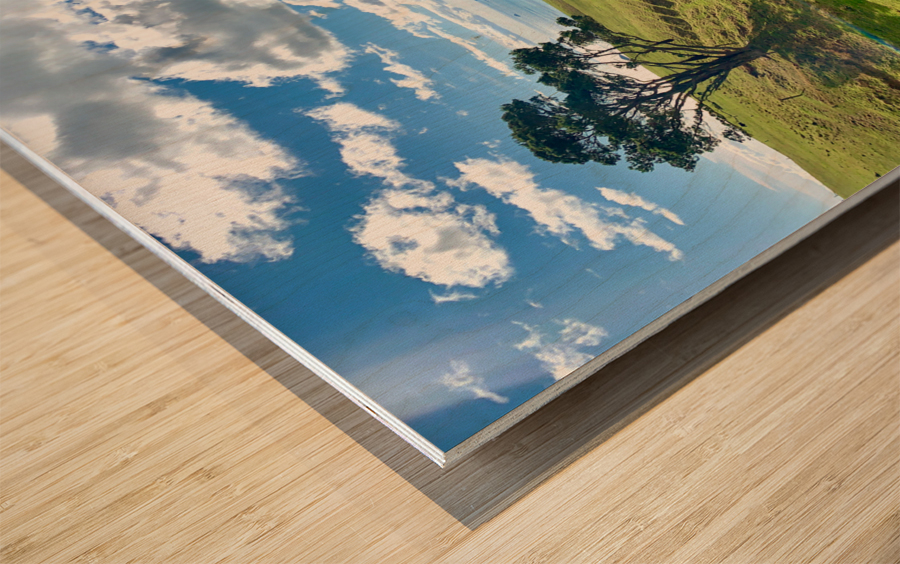 Beautiful Scenery Wood print