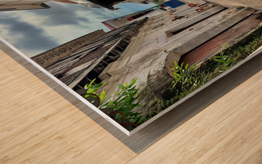 Horse Around Vigan Philippines Wood print