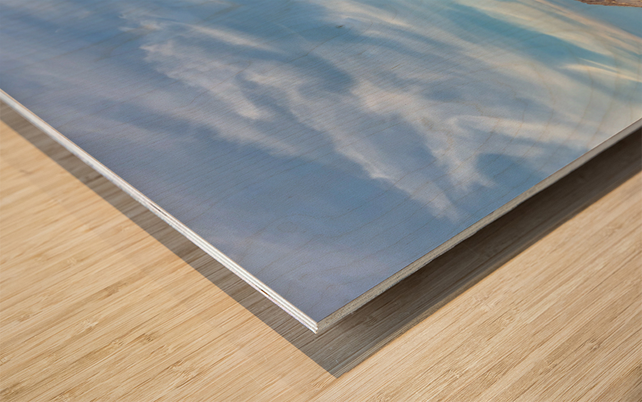 Bungalows on the Coast Wood print