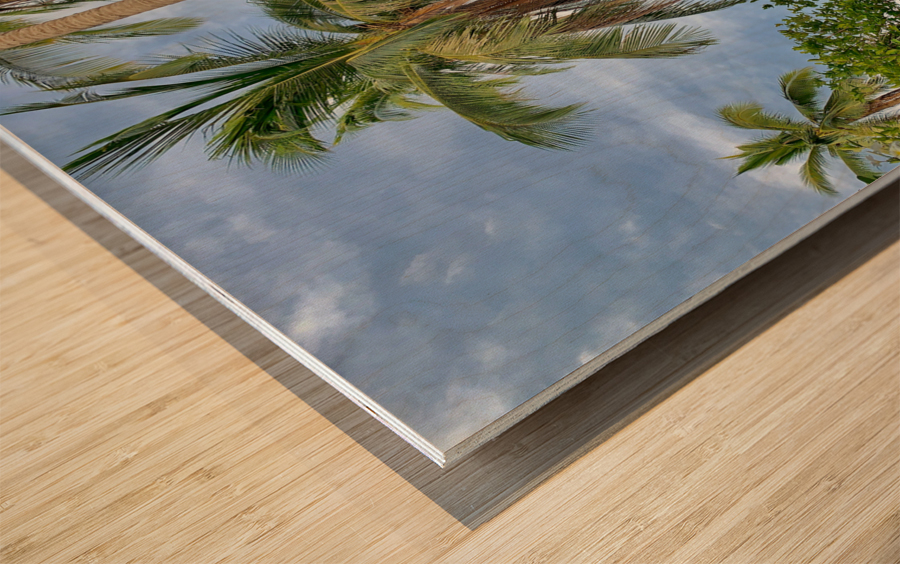 L Palm Tree Wood print