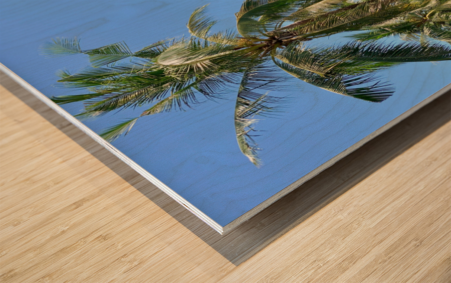 Palm Trees 2 Wood print