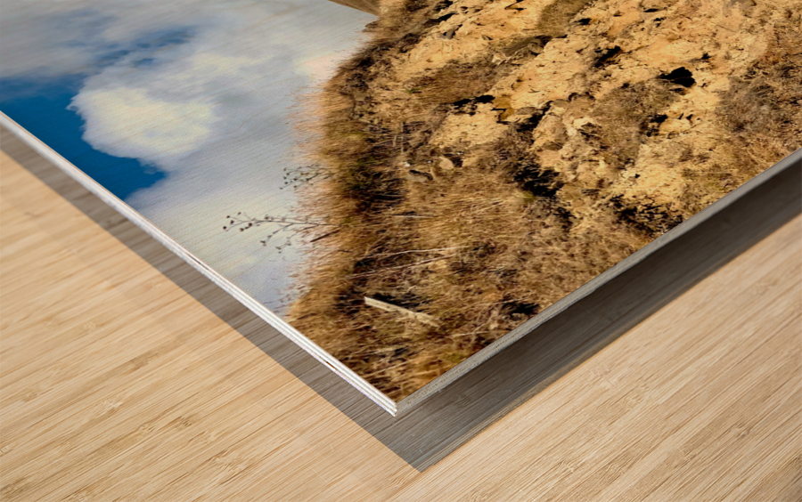 Mountain Highway 2 Wood print