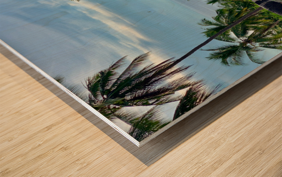 Palm Tree Road Wood print