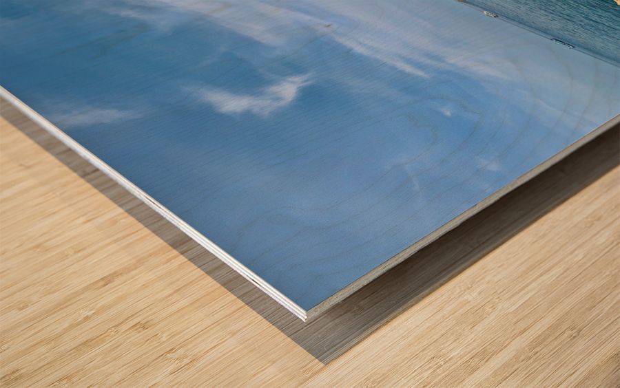 Sharks Island Koh Tao Thailand Wood print