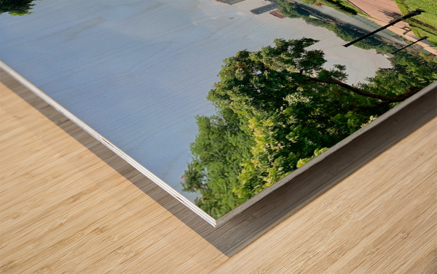 View on the Lake in Hanoi Wood print