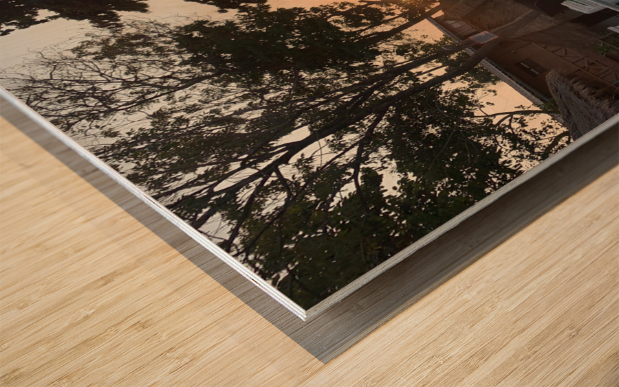 Sunset Reflection in the Pool Wood print