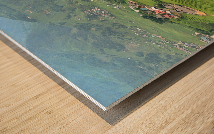 Villages in the Rice Fields Wood print