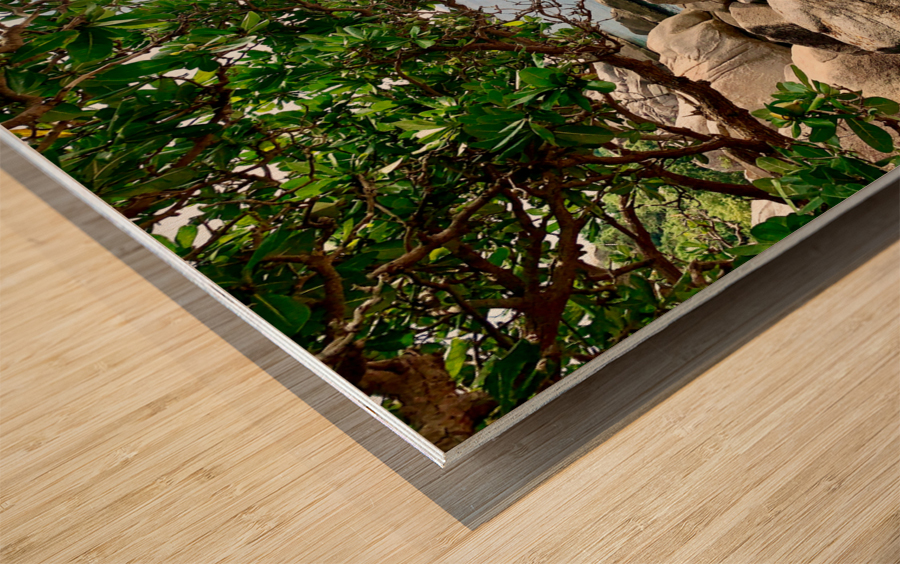 View on the Ocean Wood print