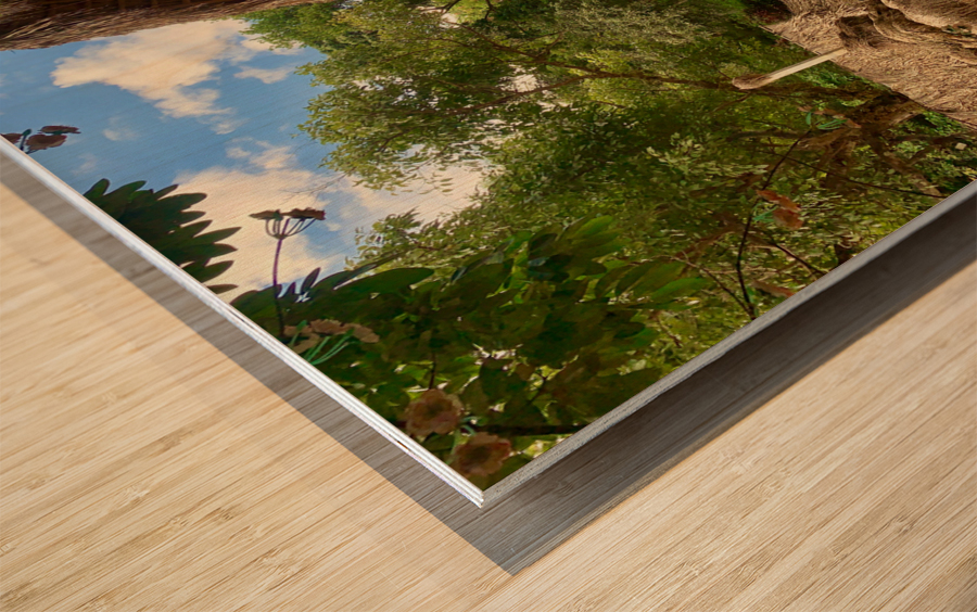 Beautiful Massive Hut Wood print