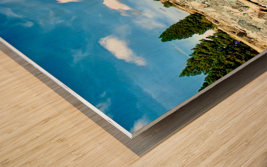 Dead Wood in Front of the Lake Wood print