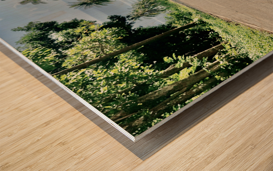 Coconut Shadow Wood print