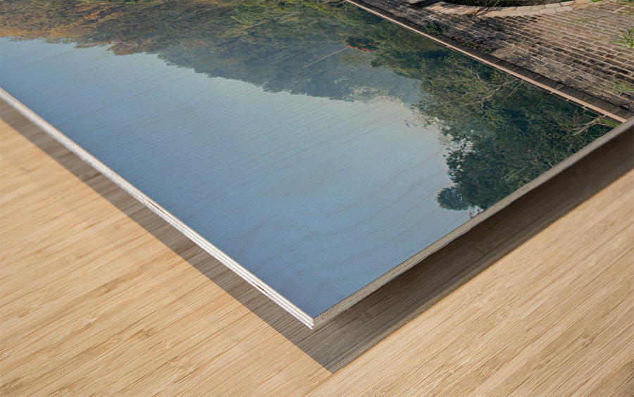 9 Arch Bridge Ella 3 Wood print