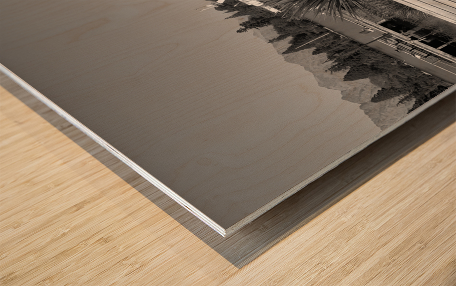 BW Reading on Twin Benches Wood print