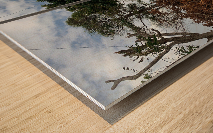 Cycling Up the Hill Wood print