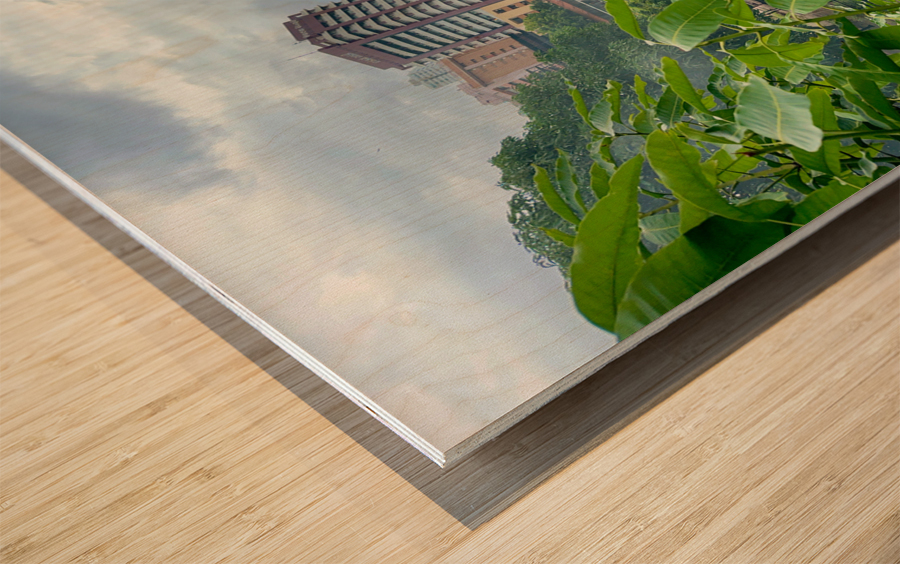 Around Colombo Sri Lanka Wood print