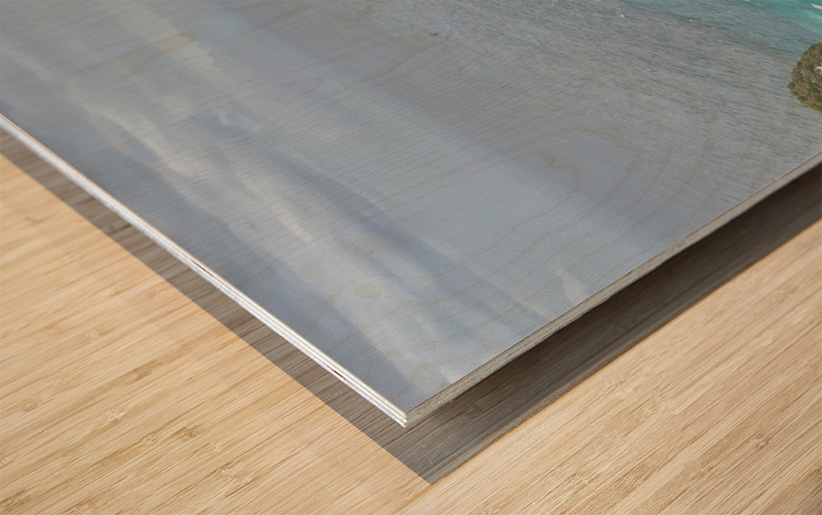 Last Monkey Standing Wood print