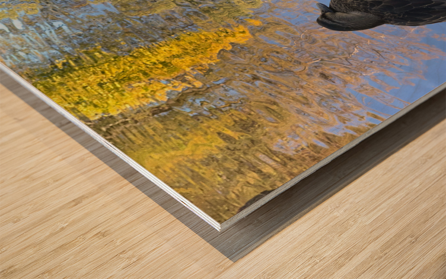 Duck like a Painting Wood print