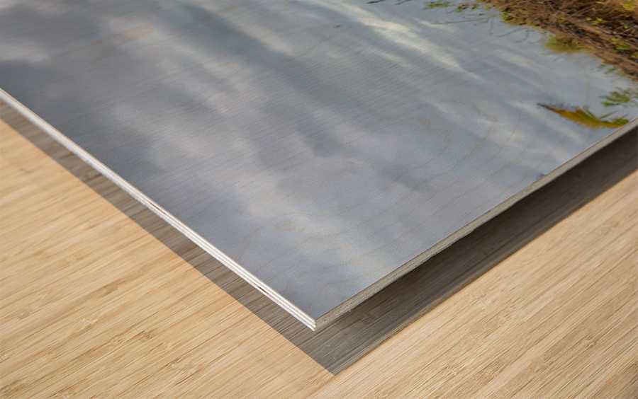 Dog in the Field Impression sur bois