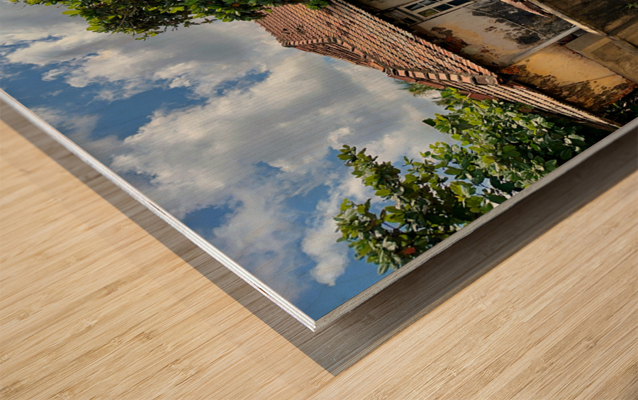 House in Galle Sri Lanka Wood print