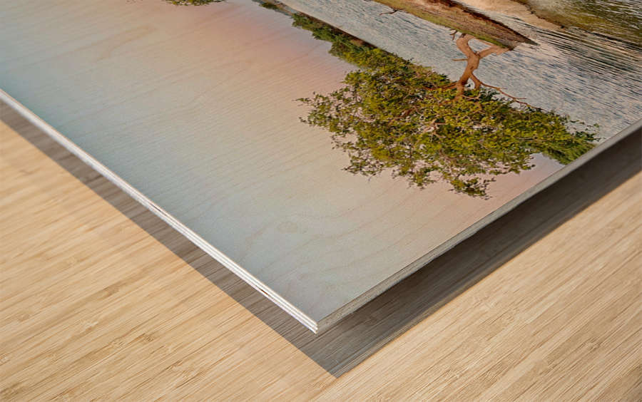 Mini Island Wood print