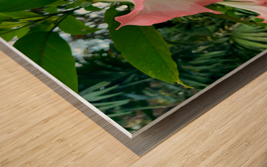 Pink Bell Flowers Wood print