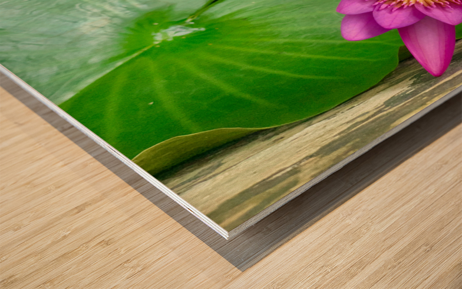 Purple Flower Wood print