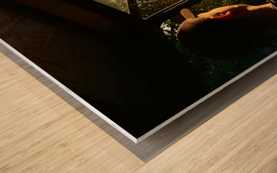 Safari Time Wood print