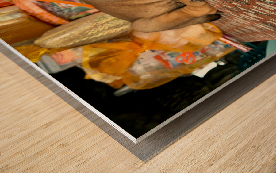 Sleepy Puppy Wood print