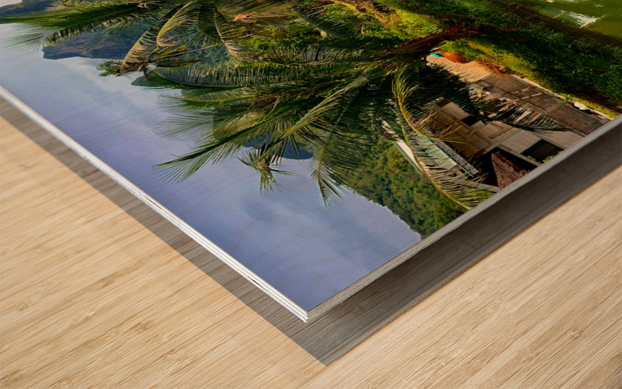 Palm Tree Trio Reflections Wood print