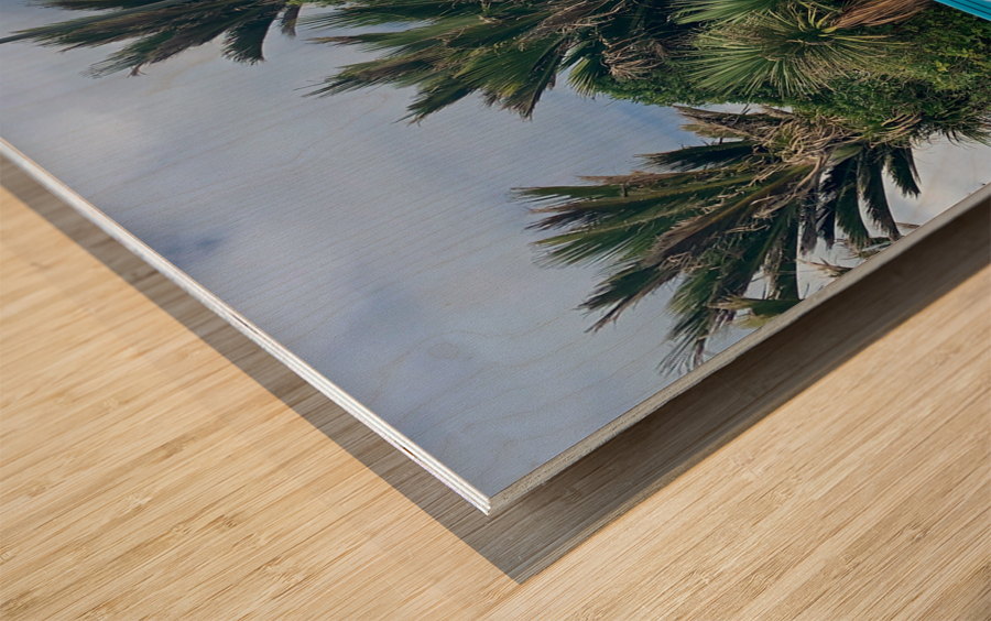 Superwoman Van Wood print