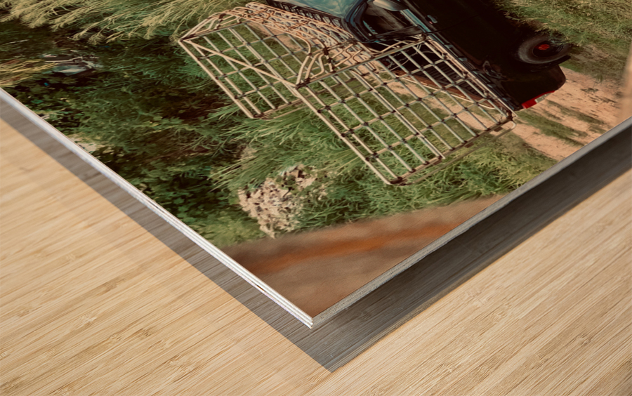 Ukulele Time Wood print