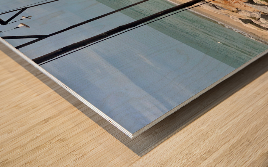 Walk to the Beach Wood print