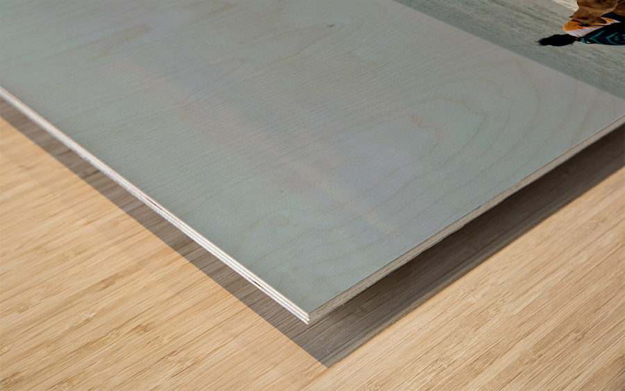 Waiting on the Beach Wood print