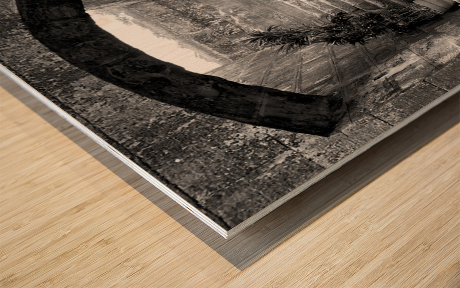 BW Stairs  Plants Wood print