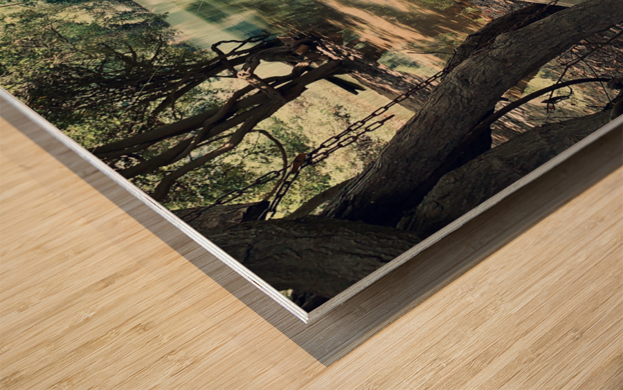 Abandoned Boat Wood print